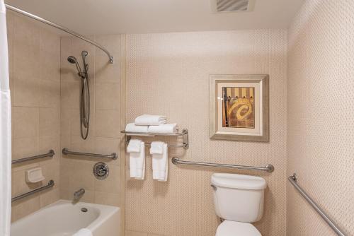 y baño con aseo, bañera y lavamanos. en Hilton Garden Inn Billings en Billings