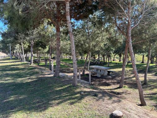 a row of picnic tables in a park with trees at Home S&F- Algorfa in Algorfa
