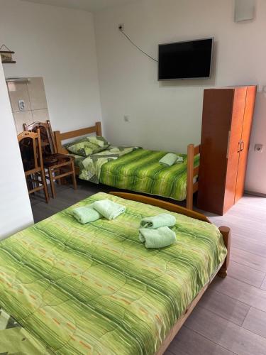 a bedroom with two beds and a flat screen tv at Etno Selo Stara Planina in Kalna