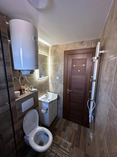 a bathroom with a toilet and a sink at Apartmani Liman Kopaonik in Kopaonik