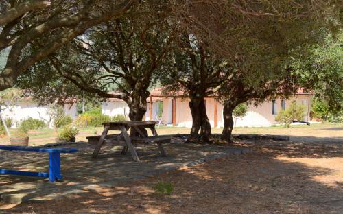 Κήπος έξω από το Agriturismo Rubinu