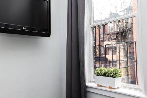 a window with a potted plant on a window sill at Cozy Studio on Newbury Street, #1 in Boston
