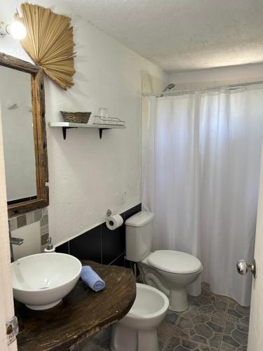 uma casa de banho com um lavatório, um WC e um espelho. em Lunas del Bosque Cabaña y apartamento en suite em La Paloma