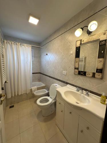 a bathroom with a toilet and a sink and a mirror at Edificio Sam Slick in El Calafate