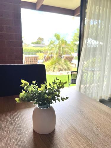 a white vase sitting on a table with a plant at Alexandra Motor Inn in Alexandra