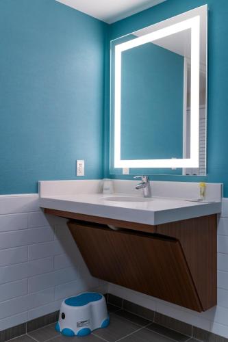 a bathroom with a sink and a mirror at Howard Johnson by Wyndham Anaheim Hotel & Water Playground in Anaheim