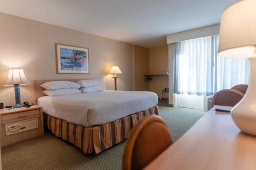a hotel room with a large bed and a window at Howard Johnson by Wyndham Anaheim Hotel & Water Playground in Anaheim