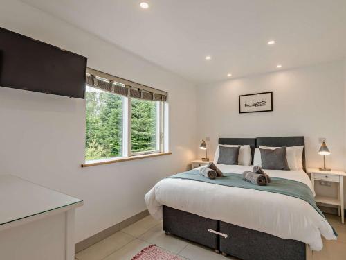 Un dormitorio con una cama grande y una ventana en 2 Bed in Totnes 93062 en Marldon