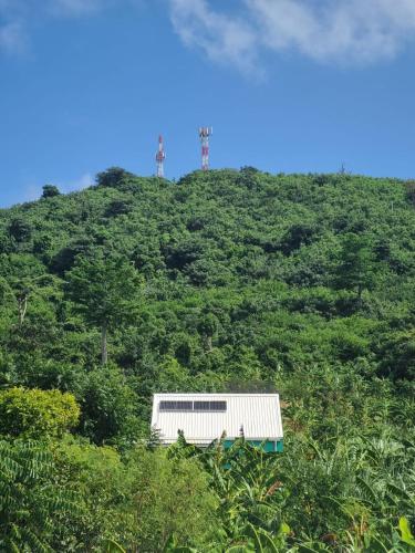 a building on top of a hill with trees at Posada Nativa Doña Mayra in Providencia