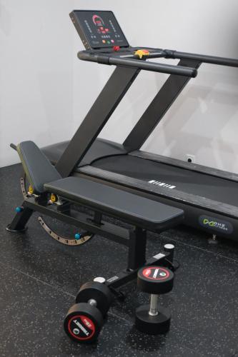 Fitness centrum a/nebo fitness zařízení v ubytování Adi Dharma Hotel Kuta