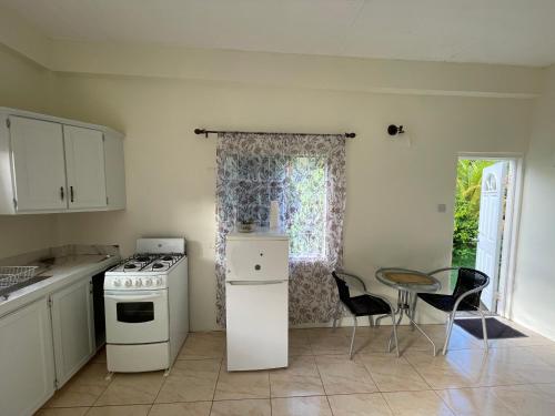 a kitchen with a stove and a table with chairs at Evergreen in Kingstown