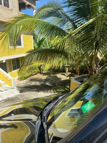 a car parked next to a building with a palm tree at Becaville in Port Antonio