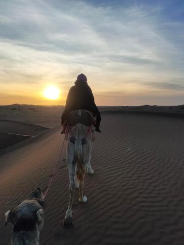 a person riding a camel in the desert with a dog at La Maison-Berbère Mhamid in Mhamid