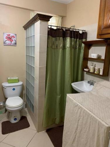 baño con cortina de ducha verde y aseo en SK S Haven #1, en Castries