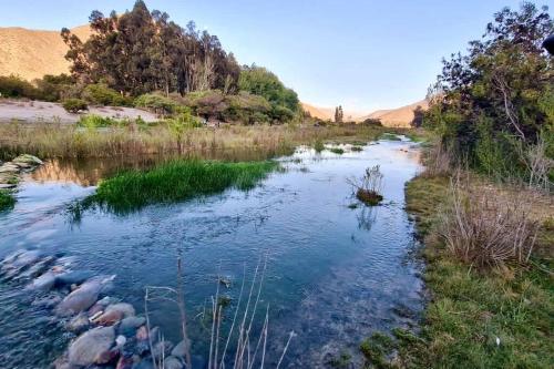 a river in the middle of a field at Espacio Borde Rio, Casa Pisqu in Vicuña