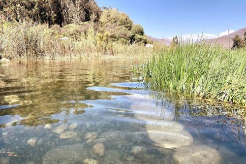 a body of water with rocks and grass in it at Espacio Borde Rio, Casa Pisqu in Vicuña