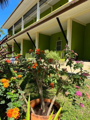 FairHouse khaolakにある庭