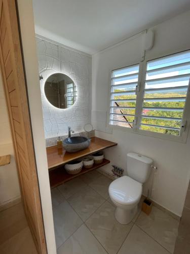 bagno con servizi igienici, lavandino e specchio di Tropic Valley Lodge a Vieux-Habitants