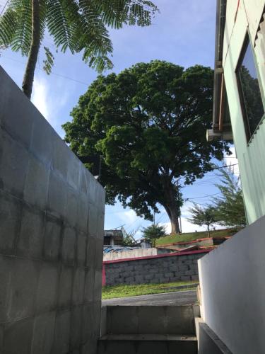un muro di cemento con un albero sullo sfondo di OTOUSAN HOUSE a Bukittinggi