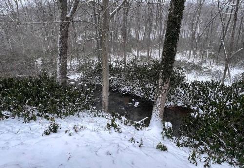 a creek in the woods with snow on the ground at Bern's Summit Solitude: Stream-Front Serenity in Confluence