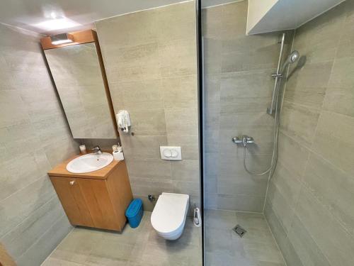 a bathroom with a shower and a toilet and a sink at Villa BB in Sarajevo