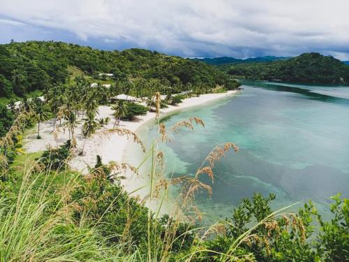 Aglicay Beach Resort في Romblon: اطلالة على شاطئ به نخل والمحيط