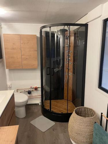 une salle de bain avec douche et toilettes dans l'établissement Appartement place de Cambrai, à Cambrai