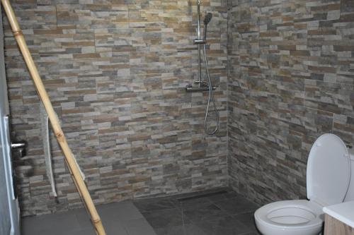 ein Bad mit einem WC und einer Ziegelwand in der Unterkunft Au Coeur des hauts Cilaos in Cilaos