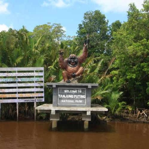 una estatua de un gorila en un cartel en el agua en Cakrawala, en Kumai