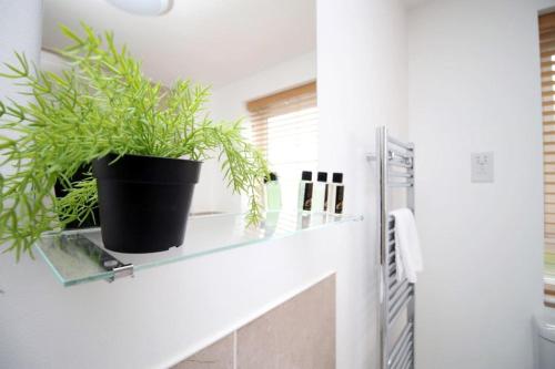 a potted plant sitting on a shelf in a bathroom at Free Wifi | Parking Access | 3BR in Rogerstone