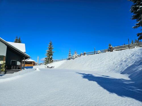 Cabana Brazilor om vinteren