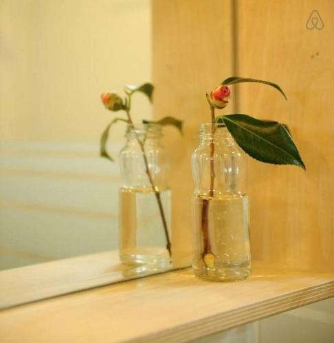two glass bottles with a plant in them on a shelf at PREERIA Pension in JEJU in Jeju