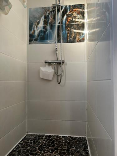 bagno con doccia e foto appese al muro di Gîte La Rêverie - Guadeloupe a Saint-Claude