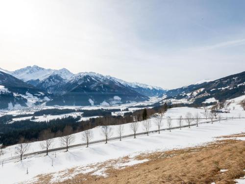 a row of trees in the snow with mountains in the background at Farmhouse Bramberg near Wildkogelbahn in Neukirchen am Großvenediger