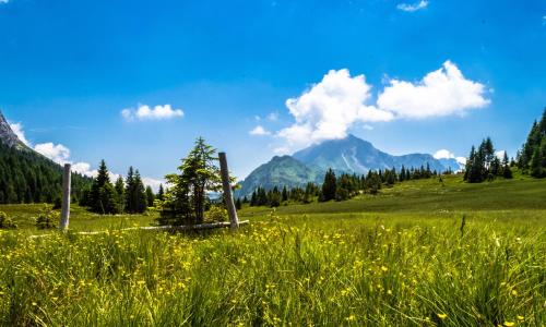 a field of grass with a mountain in the background at Residence Cavanis Wellness & Spa in Sappada
