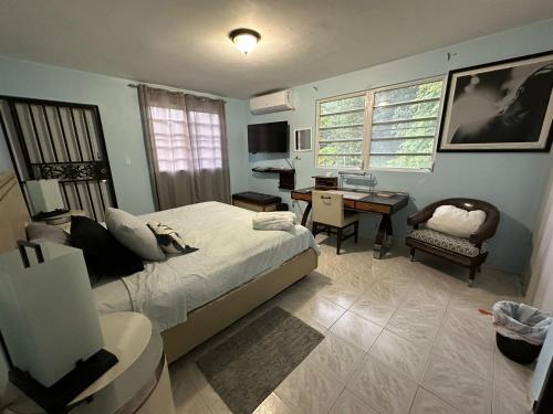 1 dormitorio con cama, escritorio y silla en Near Beach, Rivers, Lagoon, Spring, Sleep up to 22, 2nd Floor, en Vega Baja