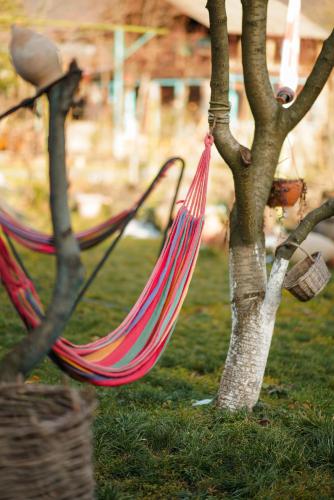 two hammocks tied to a tree in the grass at Lunisi Kvareli in Kvareli