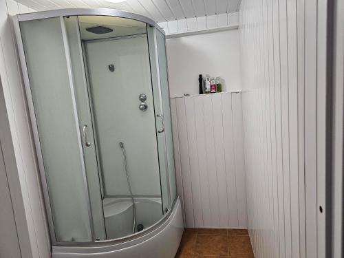 um chuveiro com uma porta de vidro na casa de banho em Kėdainių profesinio rengimo centras em Kėdainiai