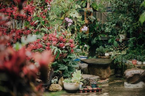 a garden filled with lots of plants and flowers at 蘊慢築 茶花藝主題民宿 Yun Man Zhu Homestay in Gongguan