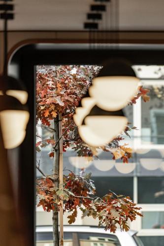 a tree in front of a window with leaves on it at Hotel Lokomotive in Linz