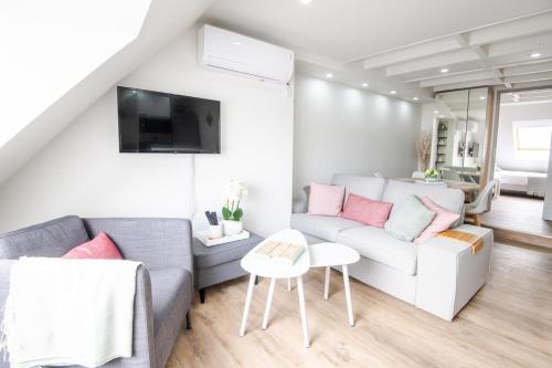 sala de estar con sofá gris y almohadas rosas en Chez Soline - Le Duplex climatisé en Amboise