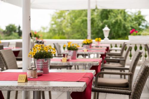 Κήπος έξω από το Möhringers Schwarzwald Hotel