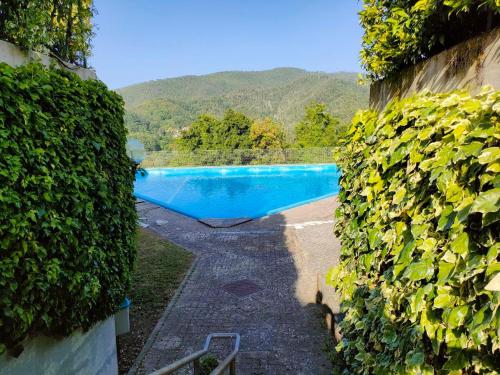 a view of a swimming pool through a hedge at Casa vacanze alle Cinque Terre in Soviore