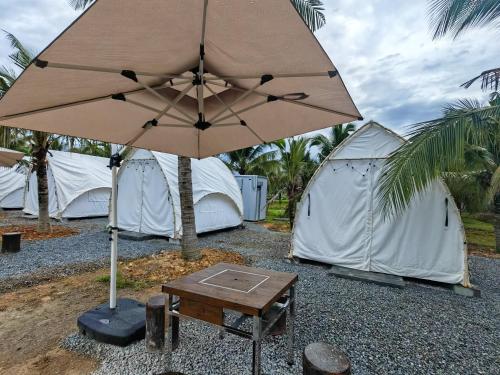 un grand parasol et une table devant les tentes dans l'établissement The Coco Journey - Eco Tent, à Kelebang Besar