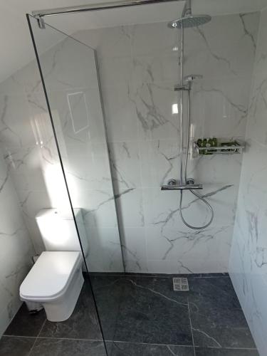 uma casa de banho com um chuveiro e um WC. em Tiernan's luxury triple room Ensuite em Charlestown