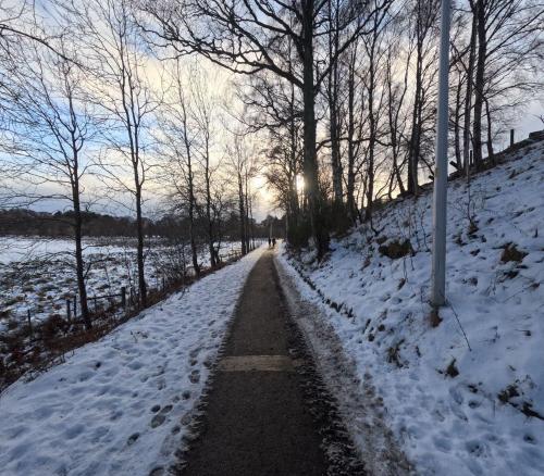 a snow covered path with the sun in the background at Orange Squirrel Lodge in Aviemore