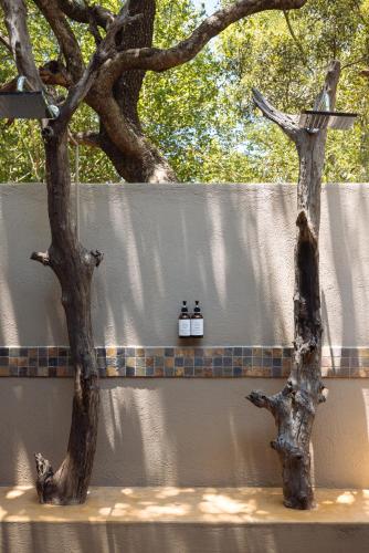 two trees next to a wall with three bottles on it at Umkumbe Bush Lodge - Luxury Tented Camp in Sabi Sand Game Reserve