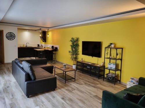 un soggiorno con divano e TV di Villa Chêne Vert Wifi Clim Parking privé a Les Angles Gard