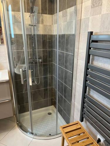une douche avec une porte vitrée dans une salle de bain dans l'établissement studio plein pied, à Merxheim