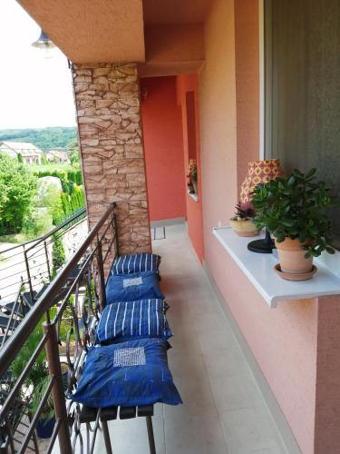 a balcony with blue cushioned chairs on a building at Penzión Vilka Podhájčanka in Podhájska